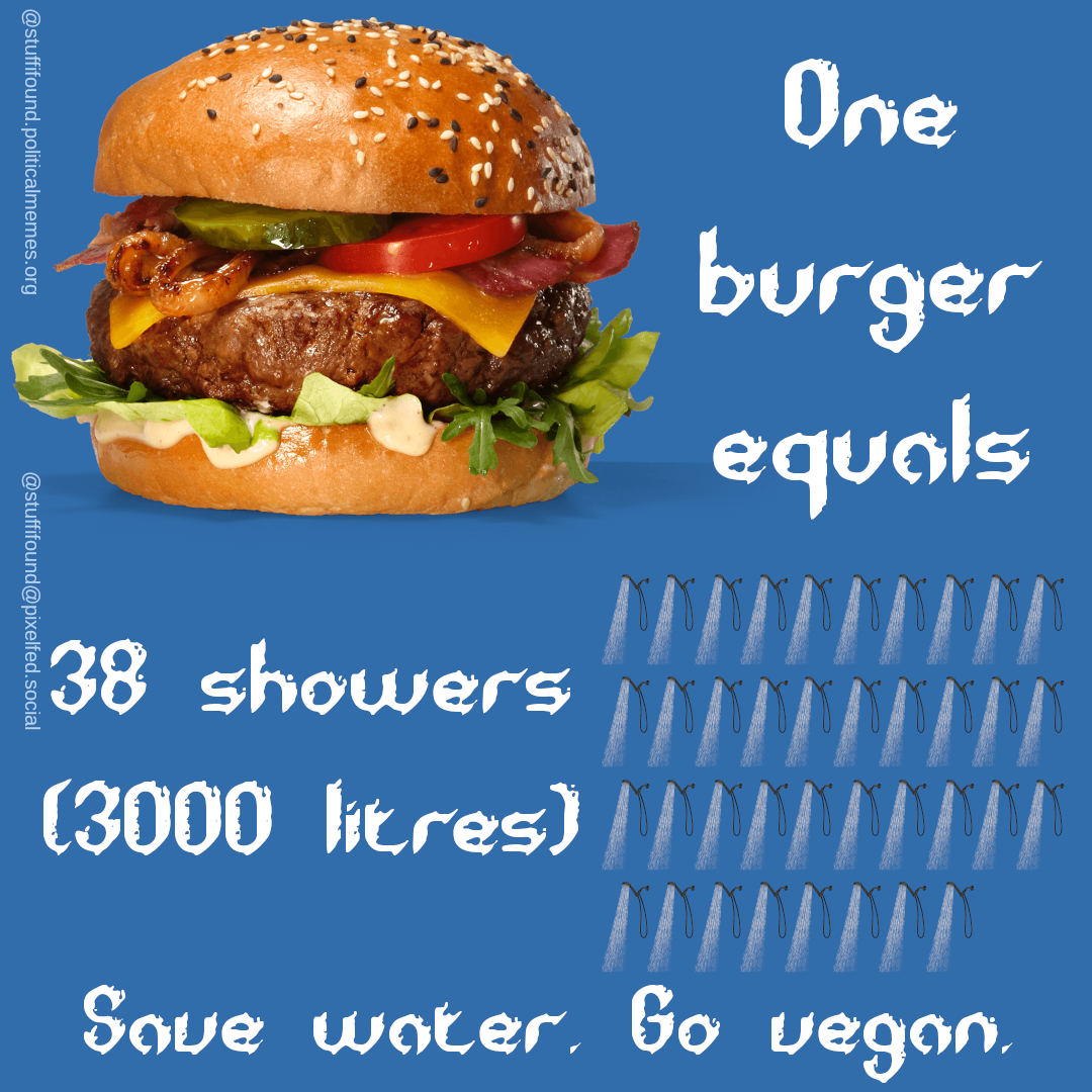 One burger equals 38 showers (3000 litres). Save water. Go vegan.